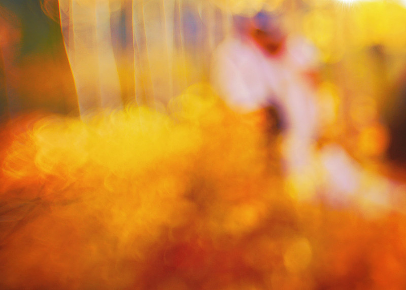 wedding abstract fall