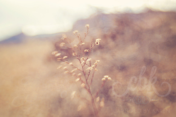 End of Winter