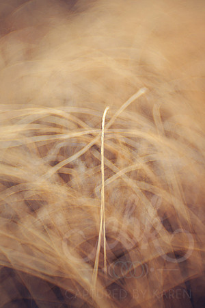 Droop